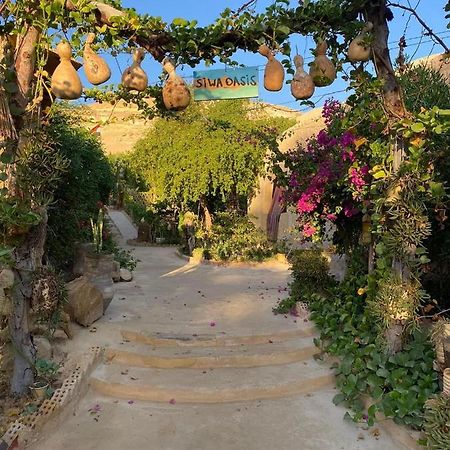 Mountain Camp Ali Khaled Hotel Siwa Oasis Bagian luar foto