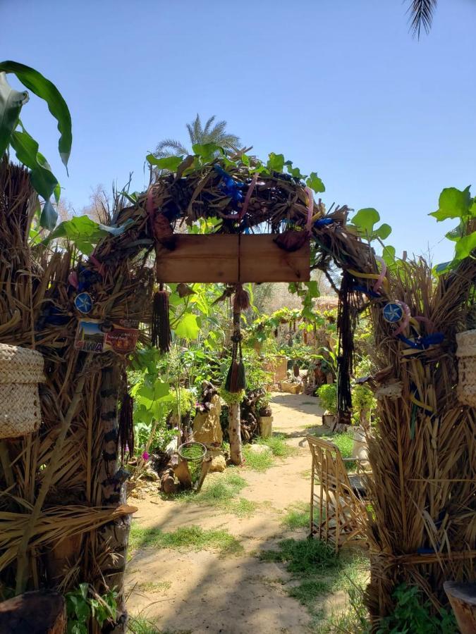 Mountain Camp Ali Khaled Hotel Siwa Oasis Bagian luar foto