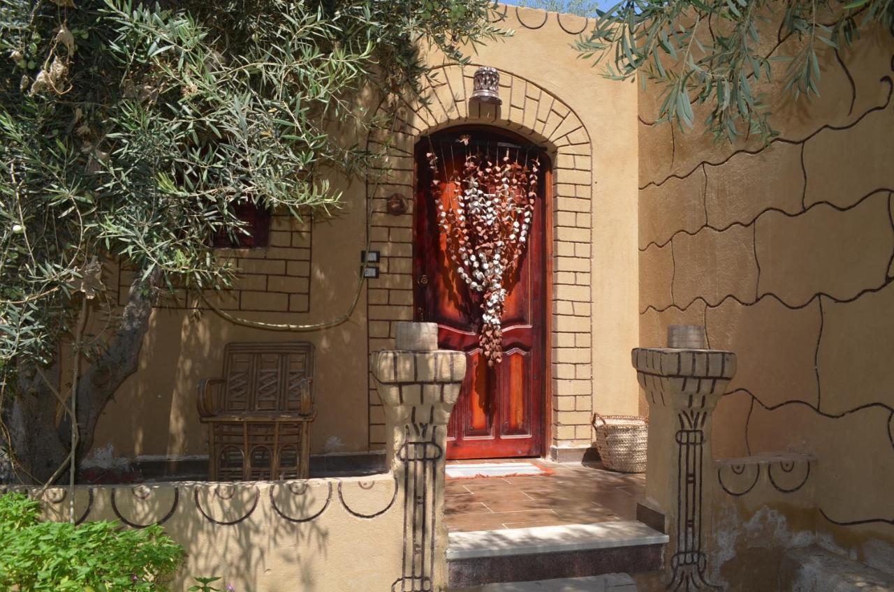 Mountain Camp Ali Khaled Hotel Siwa Oasis Bagian luar foto