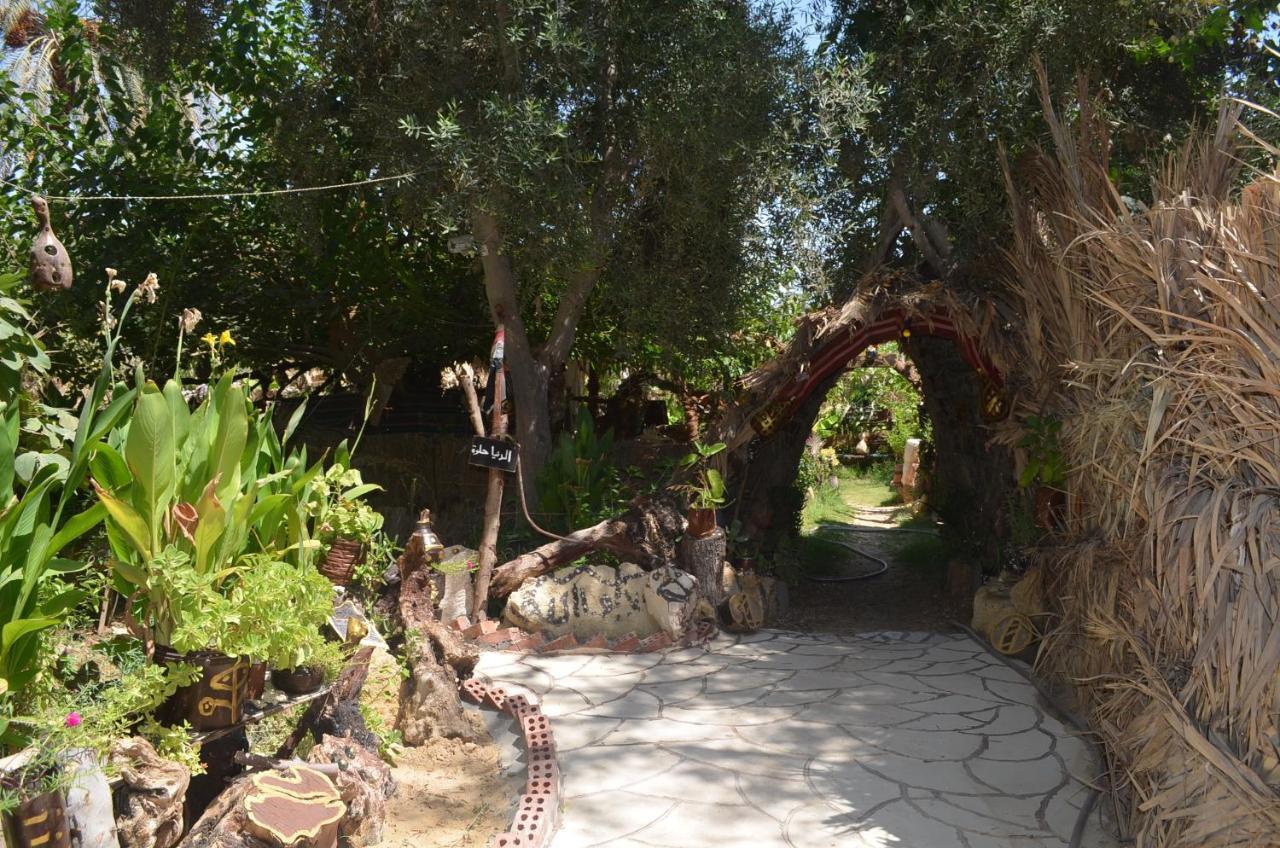 Mountain Camp Ali Khaled Hotel Siwa Oasis Bagian luar foto