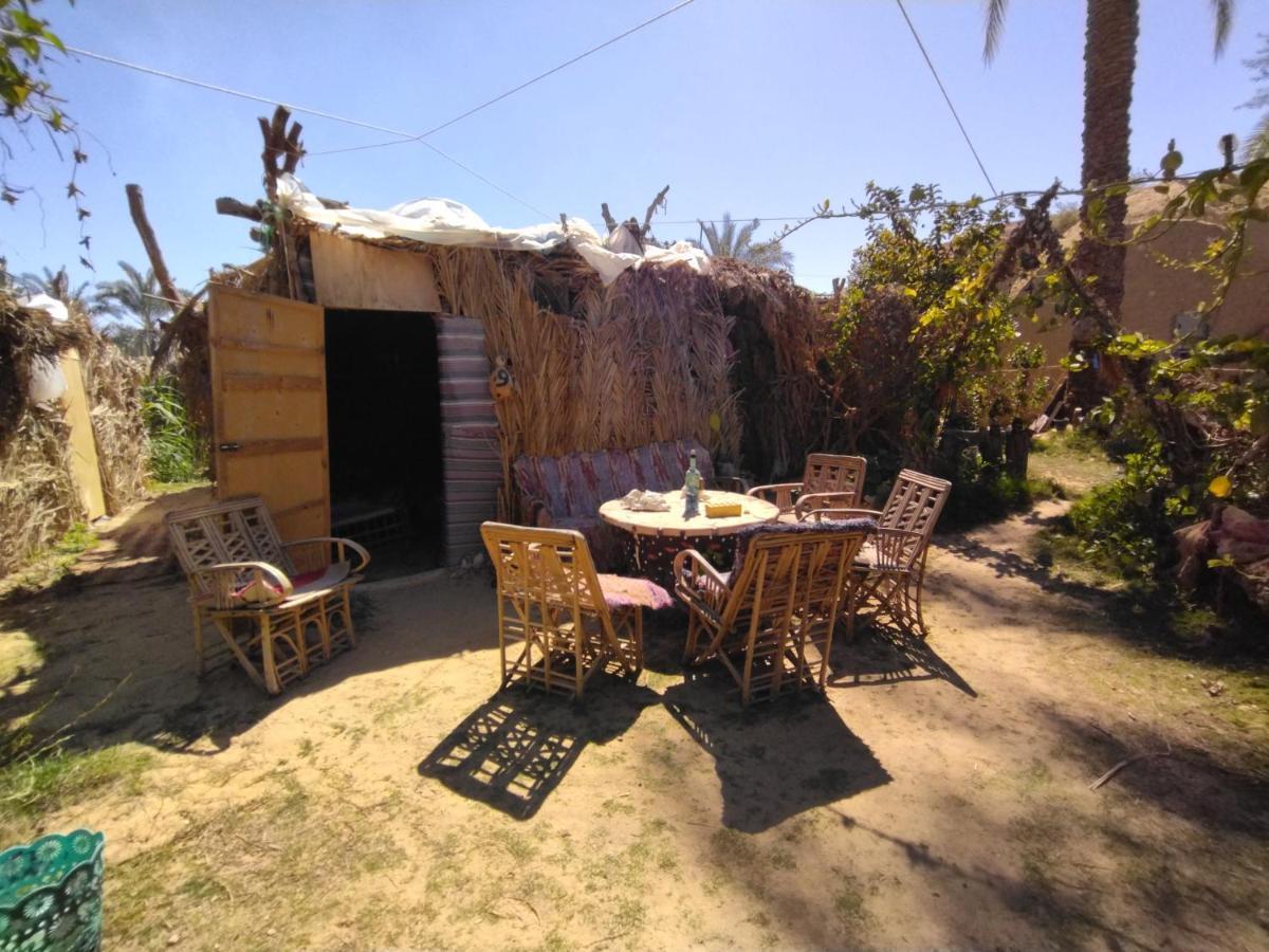 Mountain Camp Ali Khaled Hotel Siwa Oasis Bagian luar foto