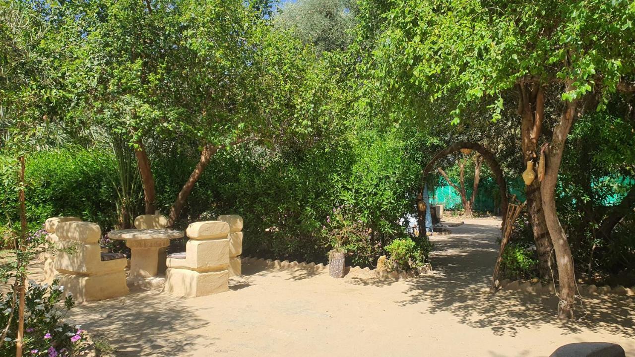 Mountain Camp Ali Khaled Hotel Siwa Oasis Bagian luar foto