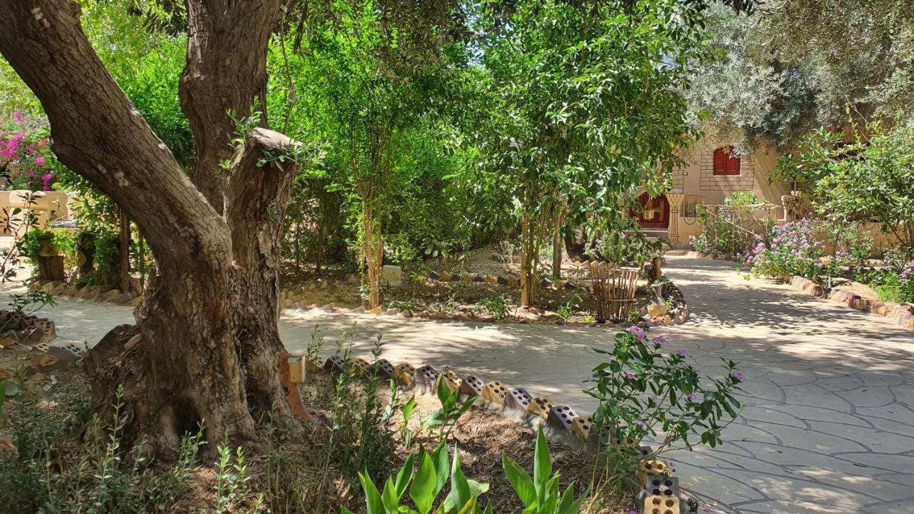 Mountain Camp Ali Khaled Hotel Siwa Oasis Bagian luar foto