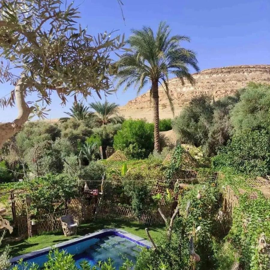 Mountain Camp Ali Khaled Hotel Siwa Oasis Bagian luar foto