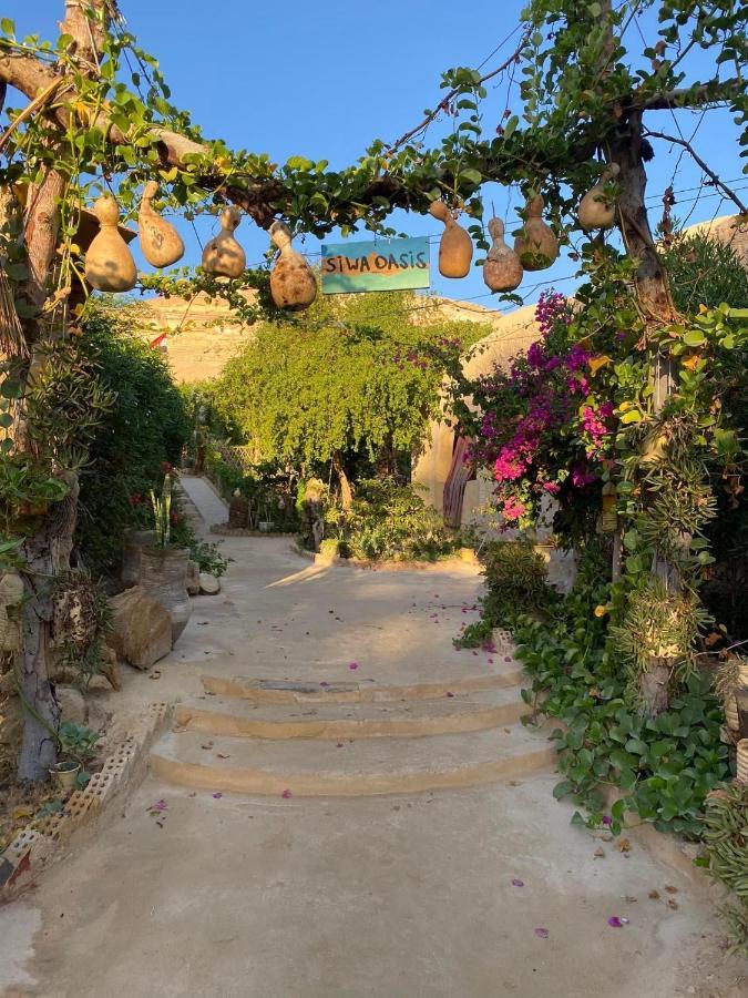 Mountain Camp Ali Khaled Hotel Siwa Oasis Bagian luar foto